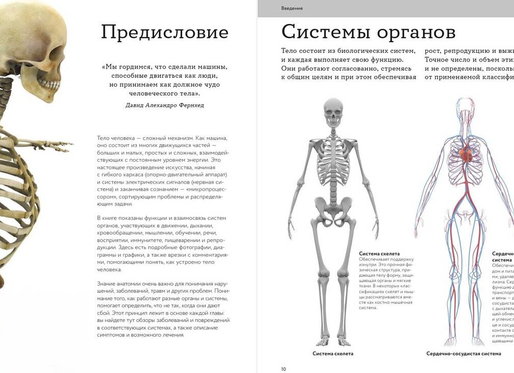 Как выявить болезни крови? 5 важных методов исследования 🔬