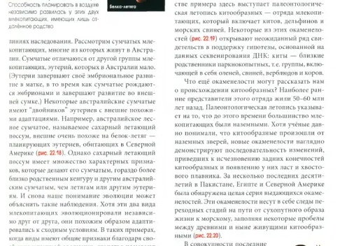 Американские ученые близки к тому, чтобы предсказывать появление болезни Альцгеймера