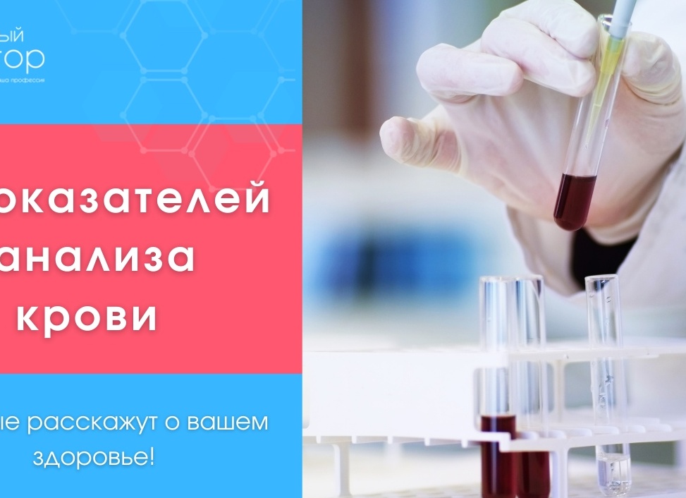 9 показателей крови, которые расскажут о вас всё