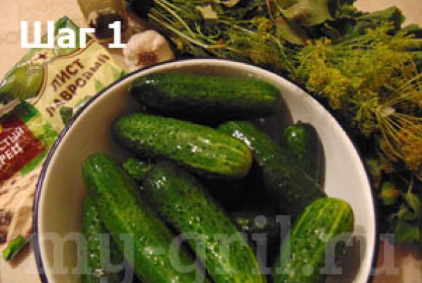 Recipe with a photo of salted crispy cucumbers for the winter