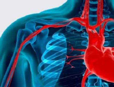 Sjukdomar i det kardiovaskulära systemet och deras förebyggande är förebyggande av hjärtsjukdomar