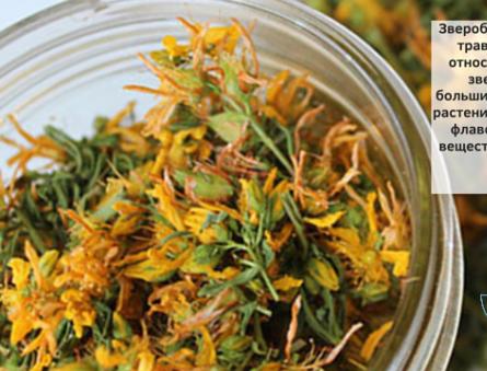 Sarı kantaron bitkisi endikasyonları ve kontrendikasyonları Sarı kantaron içeren preparatlarla birlikte kullanmayın.