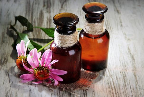 Echinacea tincture: instructions for use, method of application